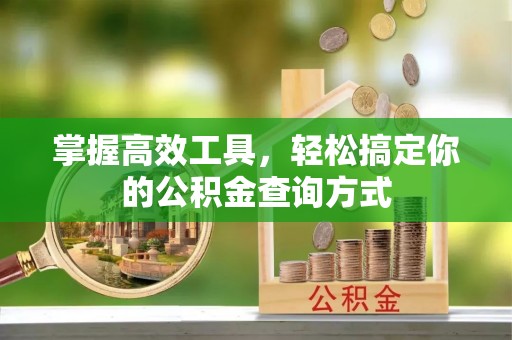 金阳掌握高效工具，轻松搞定你的公积金查询方式