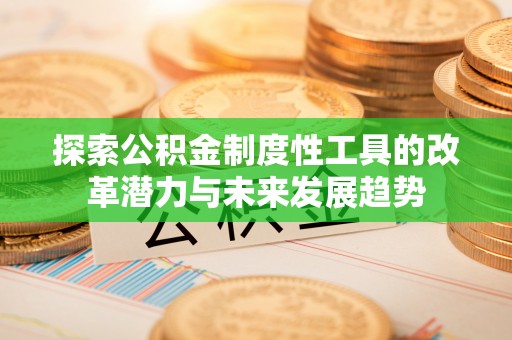 台南探索公积金制度性工具的改革潜力与未来发展趋势