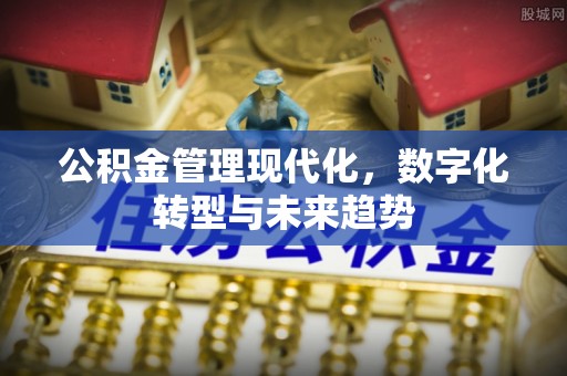 七美公积金管理现代化，数字化转型与未来趋势