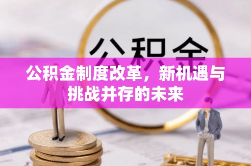 七美公积金制度改革，新机遇与挑战并存的未来