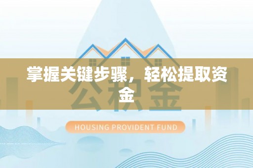 延川掌握关键步骤，轻松提取资金