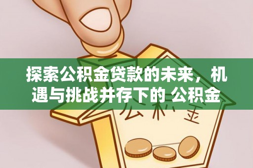 延川探索公积金贷款的未来，机遇与挑战并存下的 公积金贷款风险防控