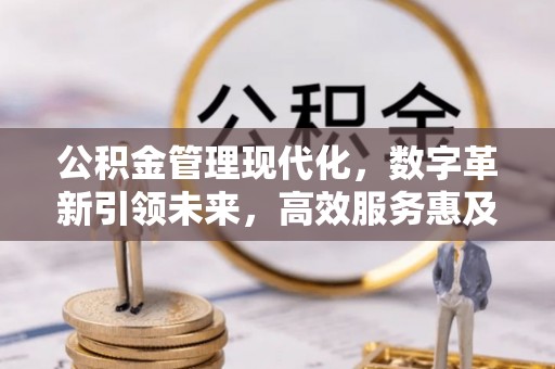 延川公积金管理现代化，数字革新引领未来，高效服务惠及民生