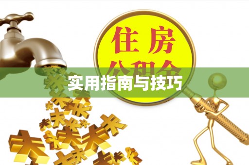 玛曲实用指南与技巧