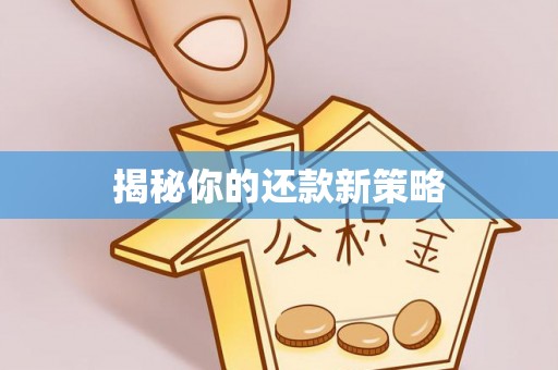 翔安揭秘你的还款新策略