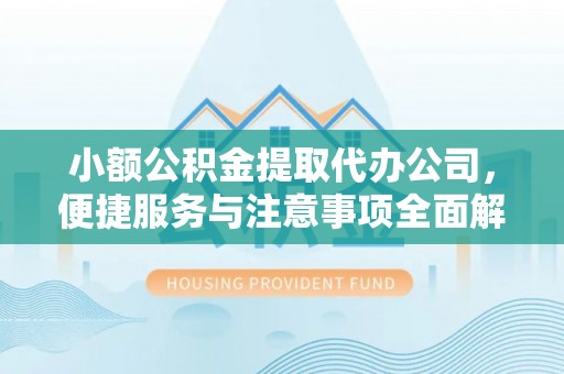 东湖小额公积金提取代办公司，便捷服务与注意事项全面解析