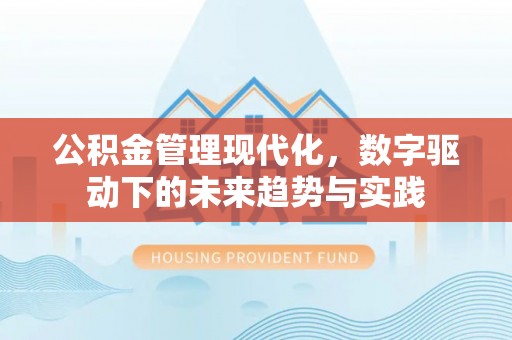 峰峰矿区公积金管理现代化，数字驱动下的未来趋势与实践
