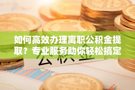 洪湖如何高效办理离职公积金提取？专业服务助你轻松搞定