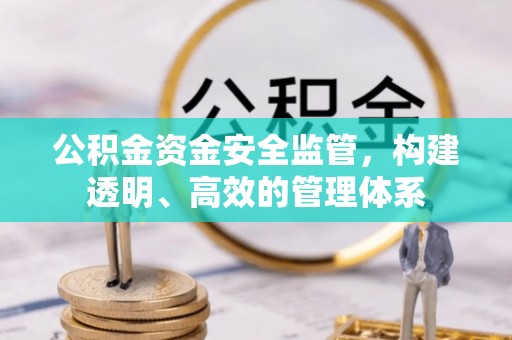 邱县公积金资金安全监管，构建透明、高效的管理体系