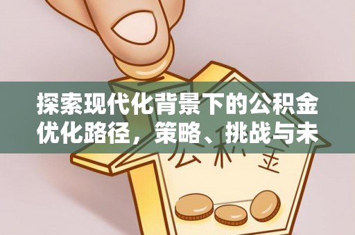 灵川探索现代化背景下的公积金优化路径，策略、挑战与未来展望