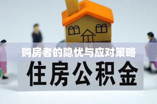 资兴购房者的隐忧与应对策略