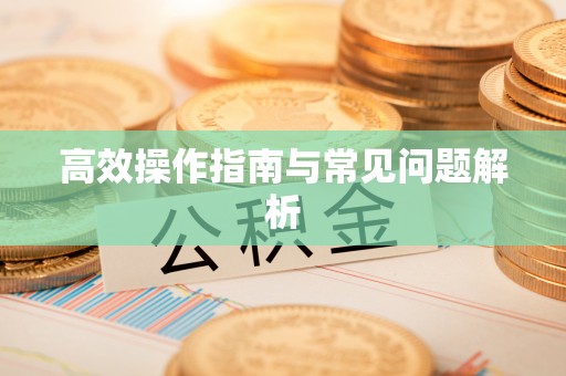 邱县高效操作指南与常见问题解析