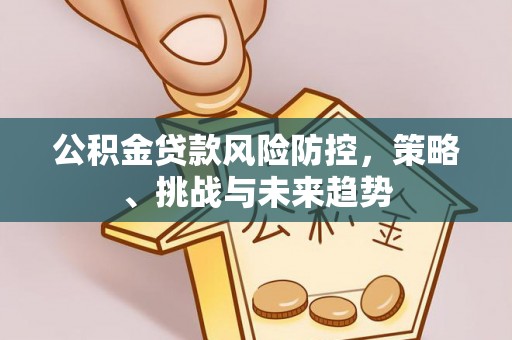 通河公积金贷款风险防控，策略、挑战与未来趋势