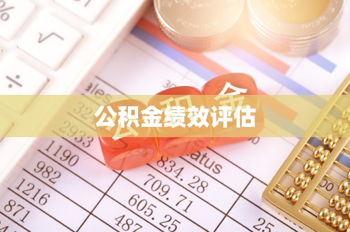 大姚公积金绩效评估