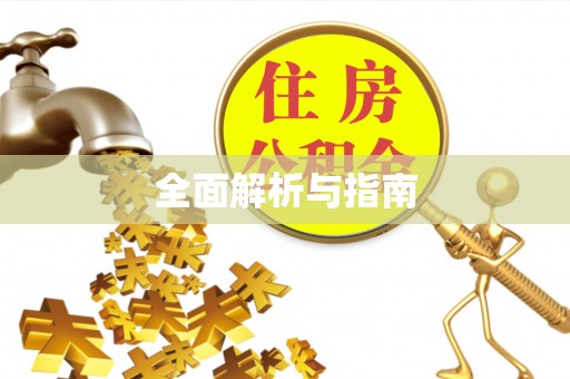 新余全面解析与指南
