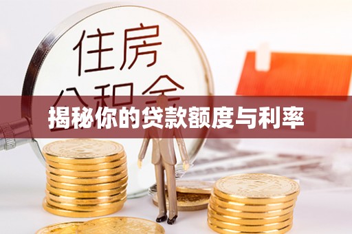 高雄揭秘你的贷款额度与利率