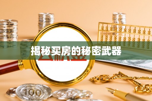 岚县揭秘买房的秘密武器