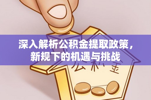 叶县深入解析公积金提取政策，新规下的机遇与挑战