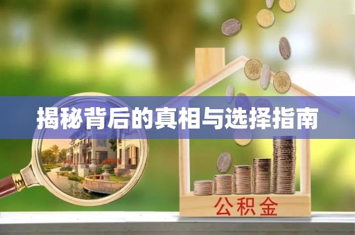 蕉城揭秘背后的真相与选择指南