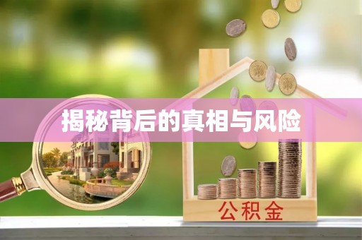莲都揭秘背后的真相与风险