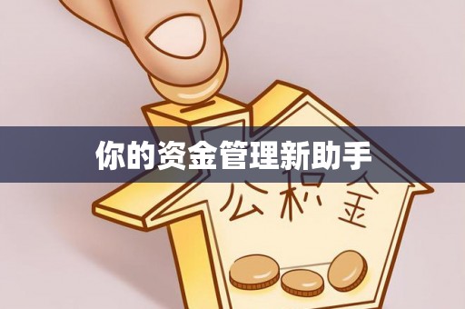 临沧你的资金管理新助手