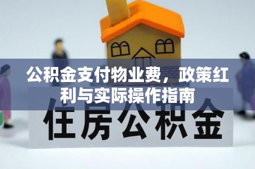 德保公积金支付物业费，政策红利与实际操作指南