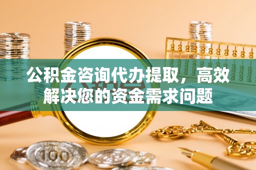 治多公积金咨询代办提取，高效解决您的资金需求问题