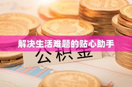 环江解决生活难题的贴心助手