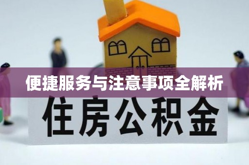 博望便捷服务与注意事项全解析
