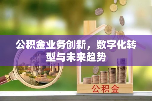 金华公积金业务创新，数字化转型与未来趋势