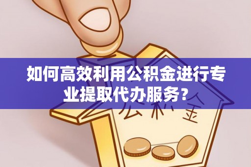 勐海如何高效利用公积金进行专业提取代办服务？