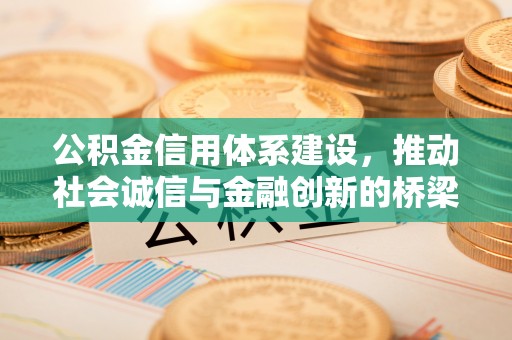 长泰公积金信用体系建设，推动社会诚信与金融创新的桥梁