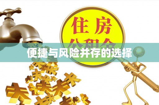 澧县便捷与风险并存的选择