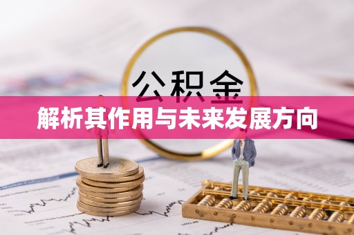 东凤解析其作用与未来发展方向