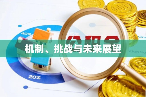 湟源机制、挑战与未来展望
