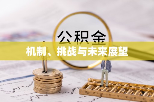 乌恰机制、挑战与未来展望