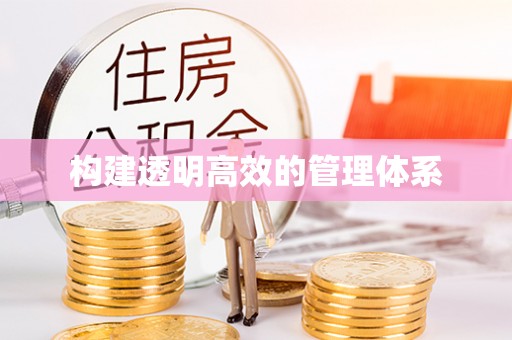南头构建透明高效的管理体系