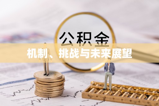 辉县机制、挑战与未来展望